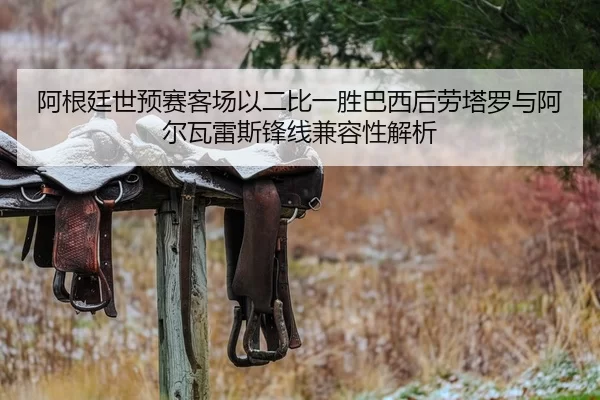 阿根廷世预赛客场以二比一胜巴西后劳塔罗与阿尔瓦雷斯锋线兼容性解析