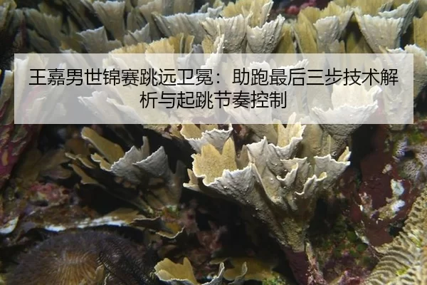 王嘉男世锦赛跳远卫冕：助跑最后三步技术解析与起跳节奏控制