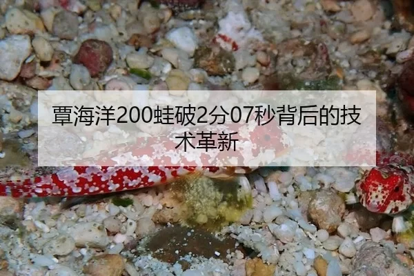 覃海洋200蛙破2分07秒背后的技术革新