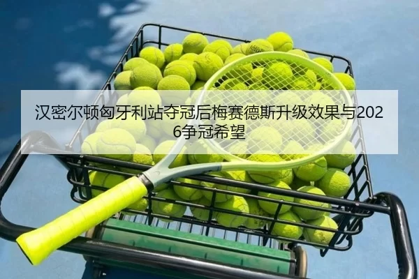 han-mi-er-dun-xiong-ya-li-zhan-duo-guan-hou-mei-sai-de-si-sheng-ji-xiao-guo-yu-zheng-guan-xi-wang-2-171.jpg